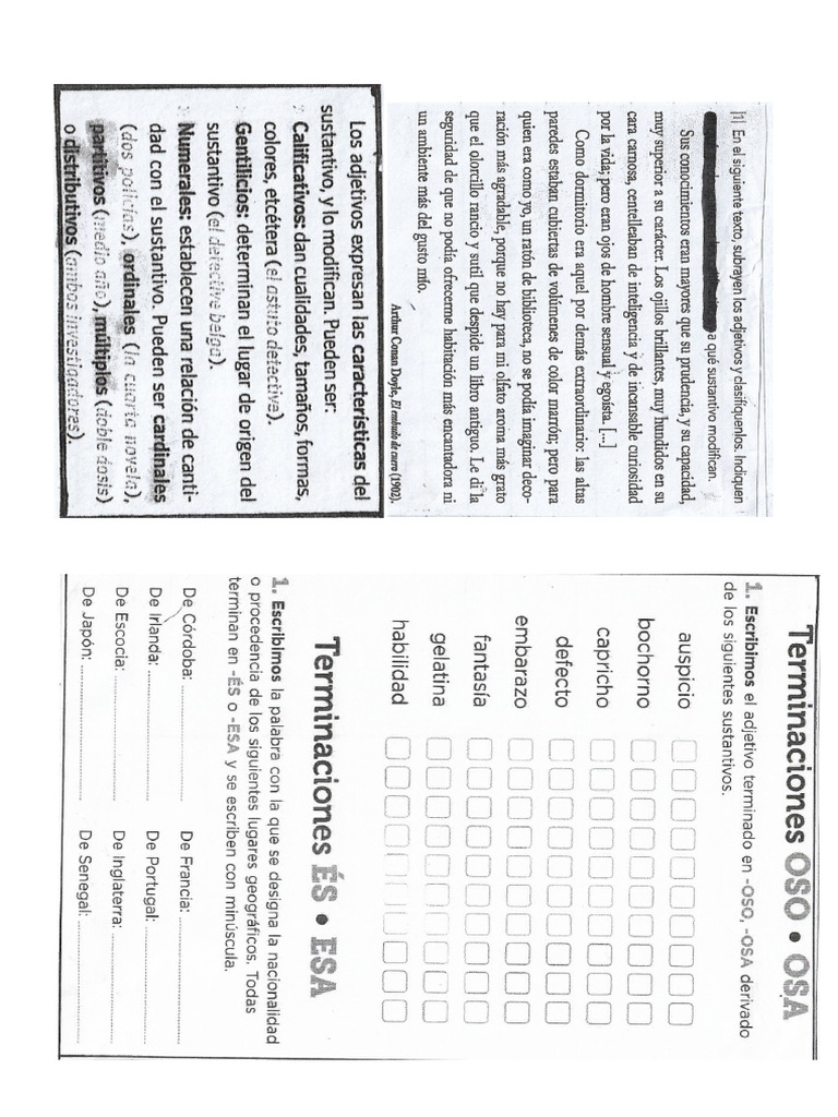 Material PDL 2025 | PDF