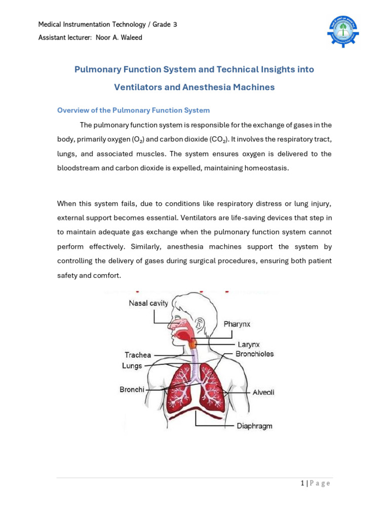 Pulmonary Ventilator Anesthesia | PDF | Lung | Breathing