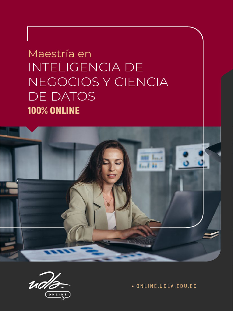 Maestría en Inteligencia de Negocios Online | PDF | Big Data | Datos