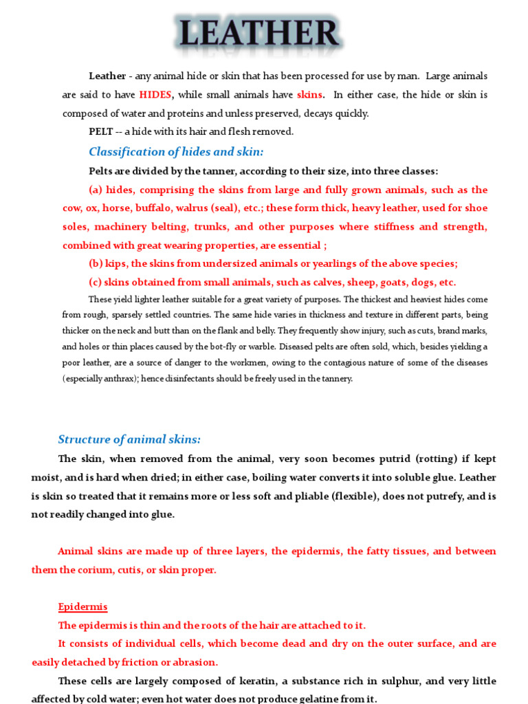 Structure and Uses of Leather | PDF | Leather | Epidermis