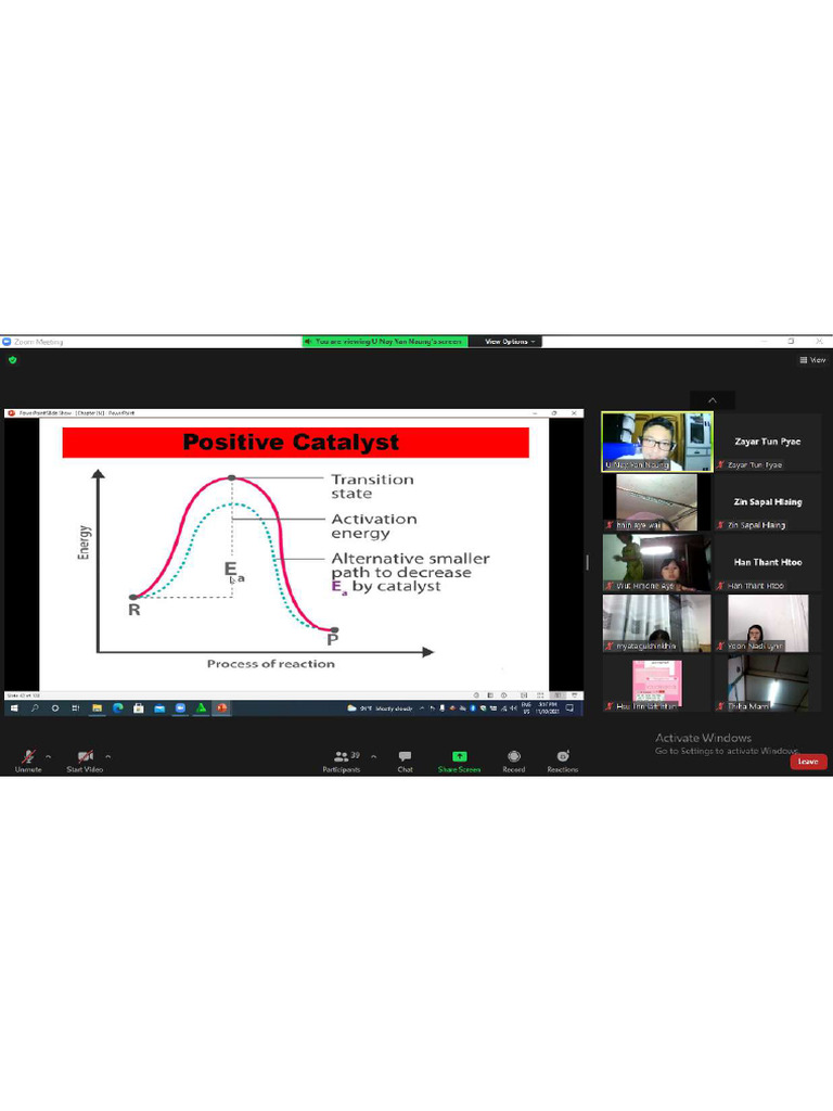 Screenshot | PDF