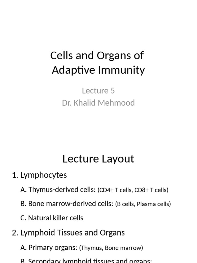 Adaptive Immunity: Cells & Organs Overview | PDF | Lymphatic System | T ...