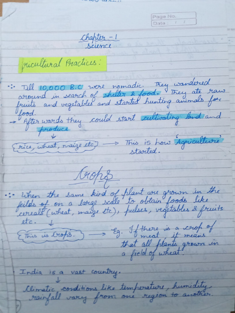 Science Chapter 1 | PDF
