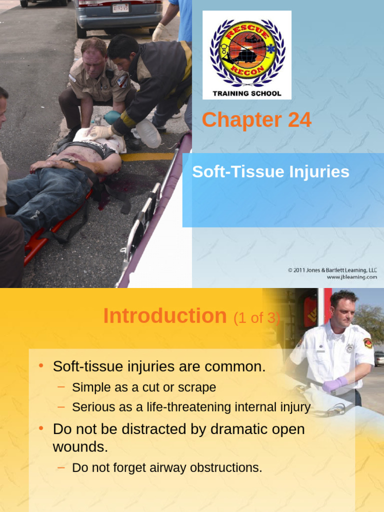 Chapter 24 - Soft-Tissue Injuries | PDF | Burn | Skin
