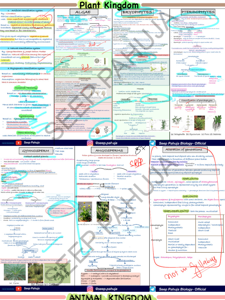 Classification Systems in Plant Kingdom | PDF | Sexual Reproduction | Spore