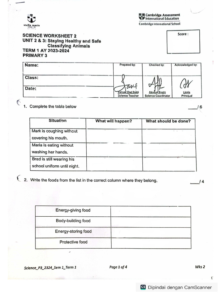 Science Ws 2 - (Unit 2 & 3) | PDF
