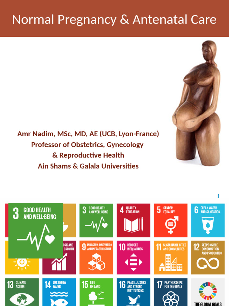 Antenatal Care and Maternal Health Guide | PDF | Pregnancy ...