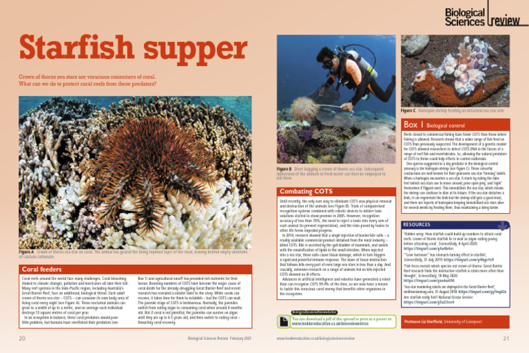Combatting Crown of Thorns Starfish | PDF | Coral | Coral Reef
