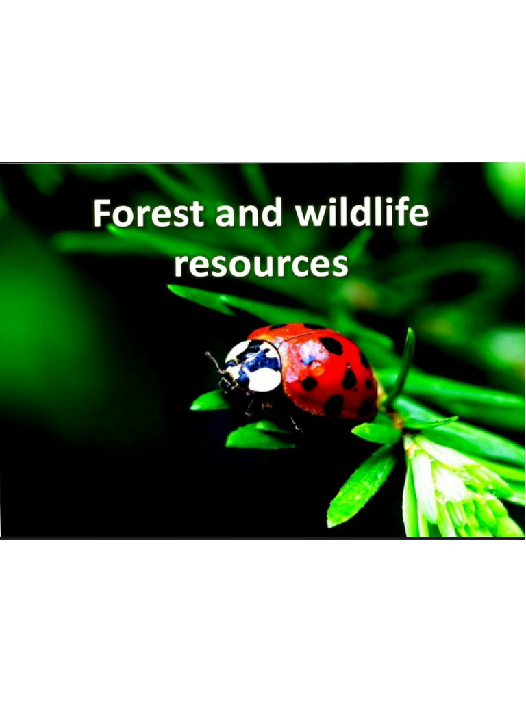 Forest and Wildlife Class X | PDF
