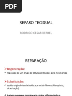 Reparo+Tecidual