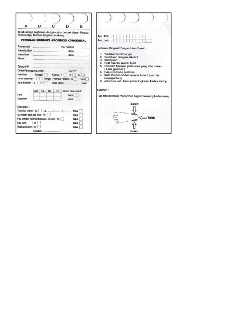 Lembar SHK | PDF