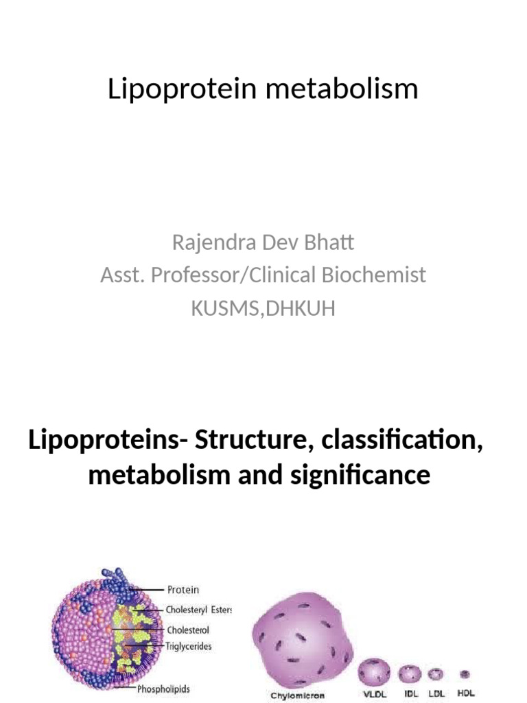 Lipoprotein Metabolism Overview | PDF | Lipoprotein | High Density ...
