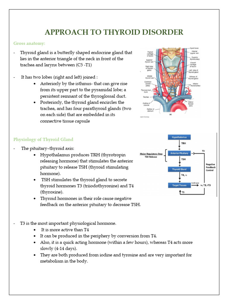 Understanding Thyroid Disorders: Hyper & Hypo | PDF | Hypothyroidism ...