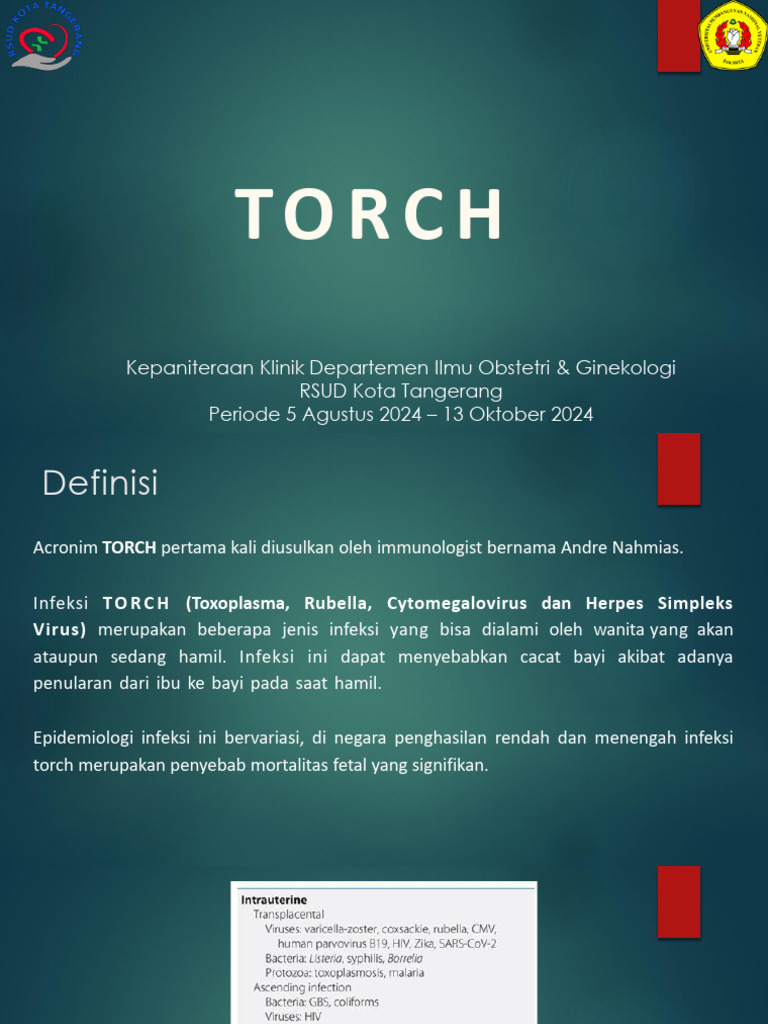 Infeksi TORCH pada Kehamilan: Toksoplasmosis dan Rubella | PDF