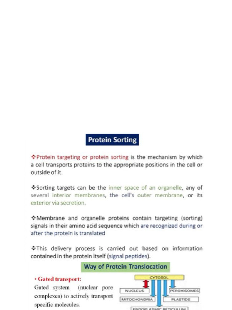 Signal Sequences and ER Protein Translocation | PDF | Protein Targeting ...