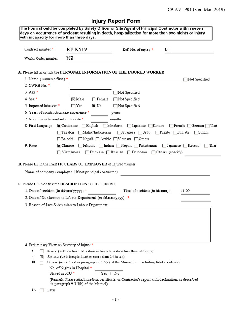 C9 BWC Injury Report Form Instructions | PDF | Deep Foundation | Pipe ...