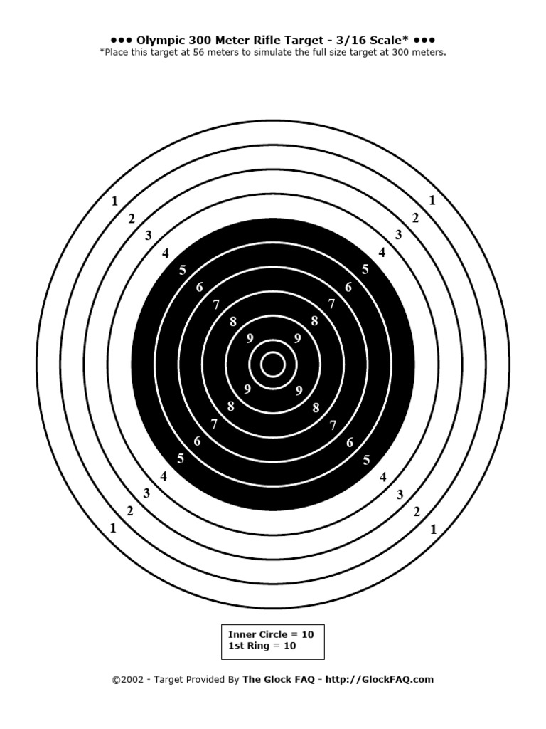 Olympic 300m Rifle Target Guide | PDF