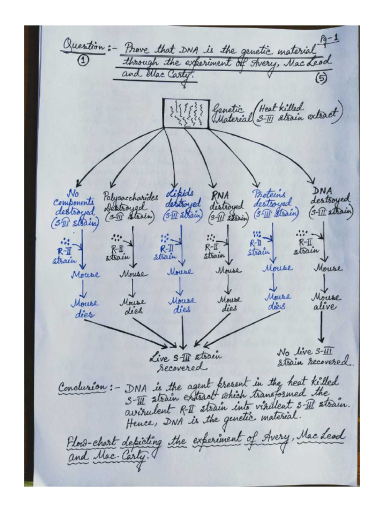 Ch-6 - Analytical Questions-Answers With Diagrams | PDF