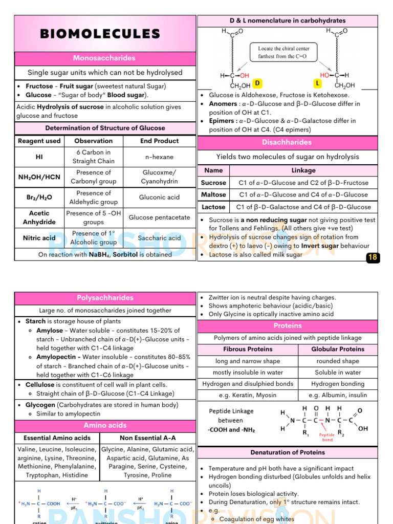 Biomolecules 398e3be1 Ee47 4421 A182 E0b7fcef508f | PDF | Glucose ...