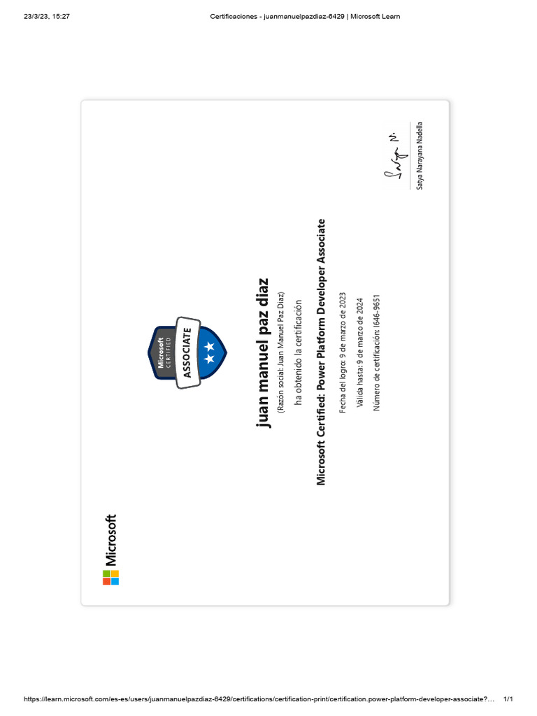 Power Platform Developer | PDF