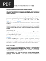 12 Conectivos de Conclusão (Com Exemplos) - Toda Matéria | PDF