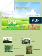 Plant As