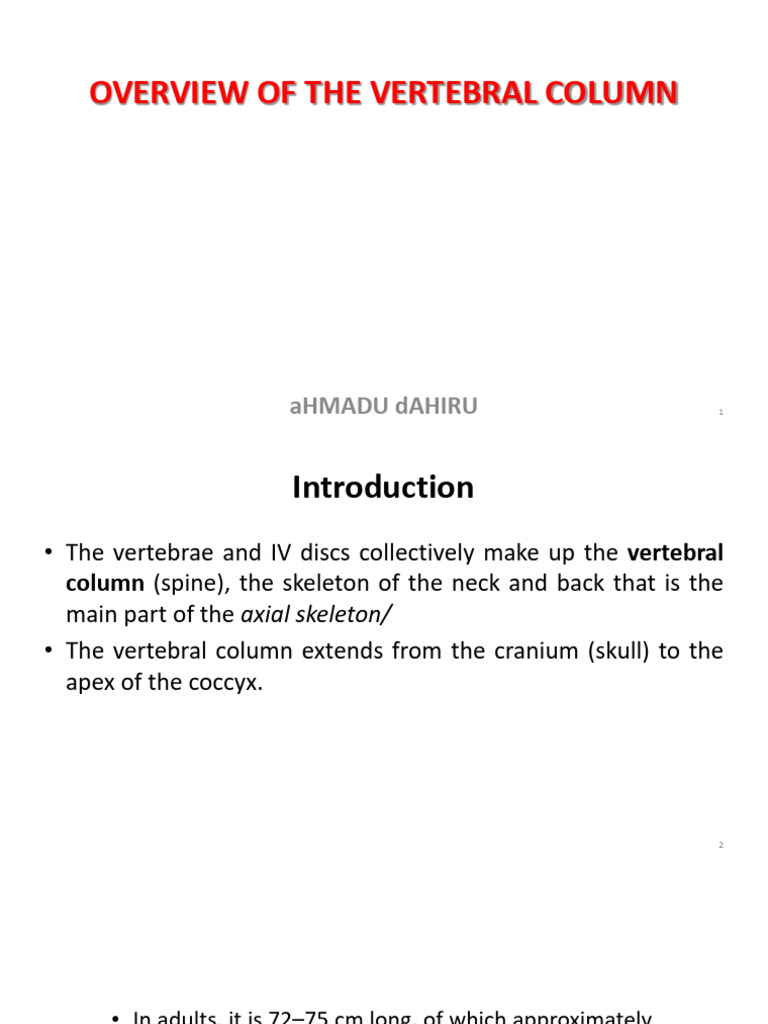 Overview of the Vertebral Column | PDF | Vertebra | Vertebral Column