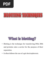 Novogene Sample Submission Guide | PDF | Gel Electrophoresis | Agarose ...