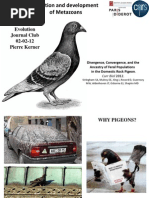 Download Pigeon by pierrekerner SN88786770 doc pdf