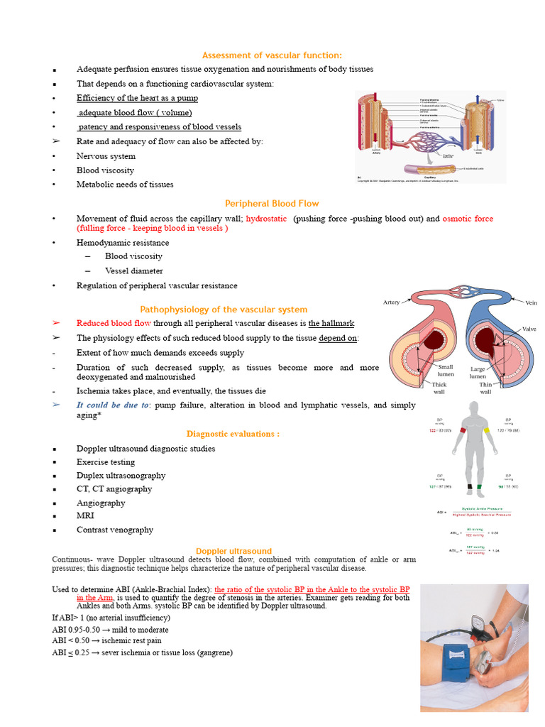 Week 6 Notes Nursing | PDF | Blood Vessel | Hemodynamics