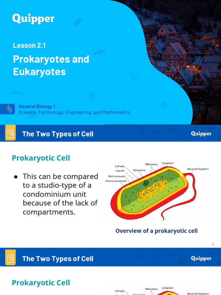 Prokaryotic vs Eukaryotic Cells Overview | PDF | Cell (Biology ...
