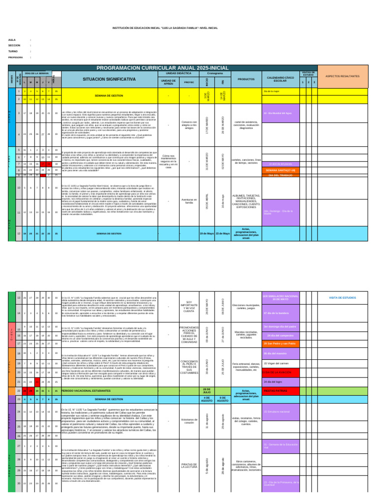 Programación Curricular Inicial 2025 | PDF | Educación de la primera ...