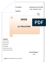 Exposé sur la Pollution et l'Environnement | PDF | Environnement ...