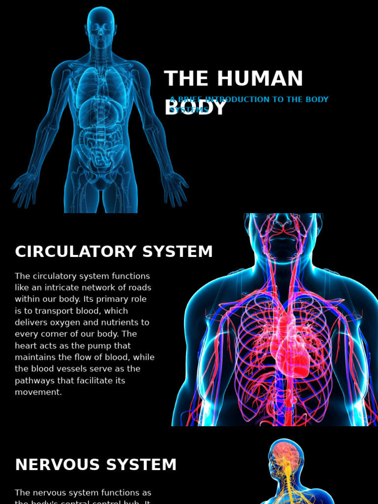 The Human Body Science Presentation in White Blue Informative ...