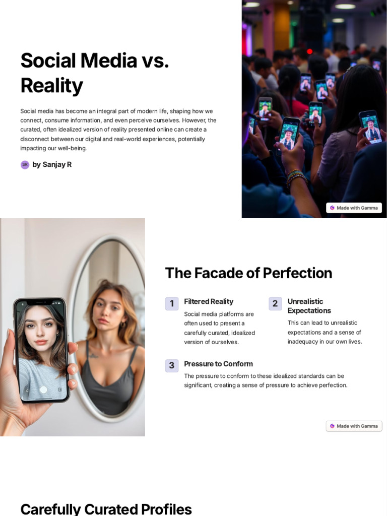 Social Media's Illusion vs. Reality PDF Popular Culture & Media