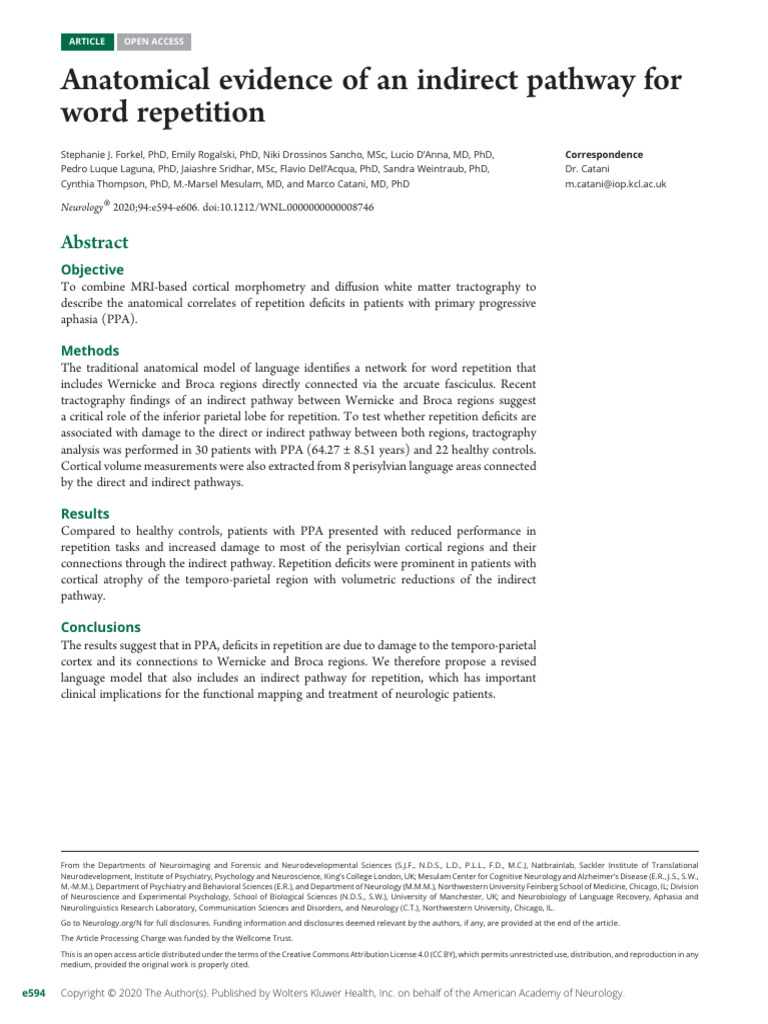 Indirect Pathway for Word Repetition in PPA | PDF | Frontal Lobe | Aphasia
