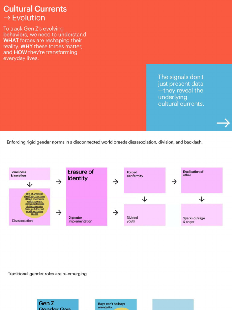 Gen Z Reintroduced Webinar - Fashion Snoops | PDF