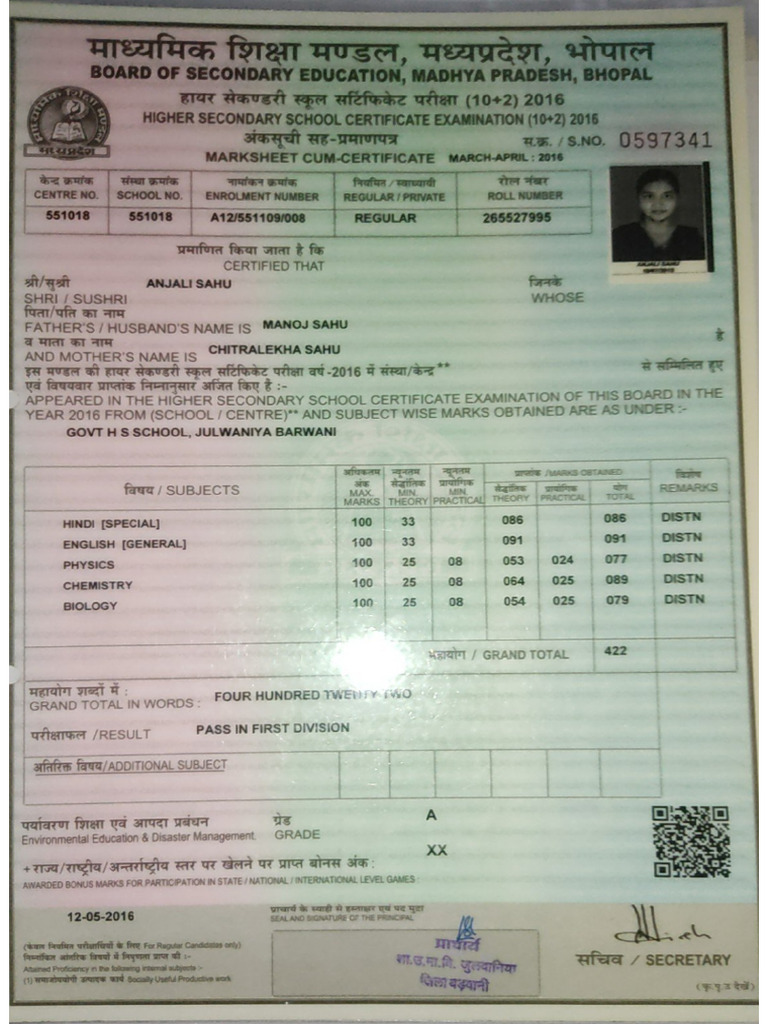 12th Marksheet | PDF