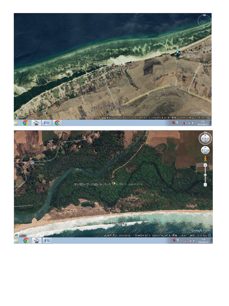 Mangrove Sumba | PDF