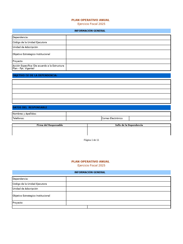 Formato POA 2025: Plan Operativo Anual | PDF | Presupuesto