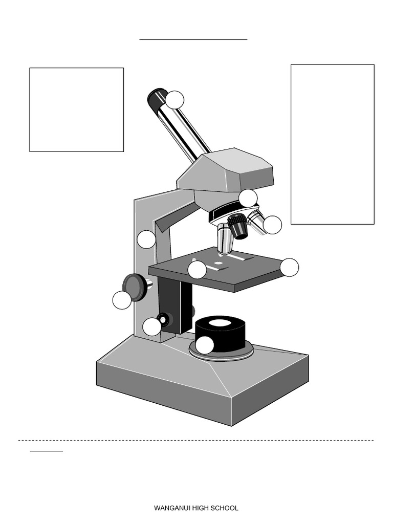 Microscope Worksheet for Students | PDF | Glass Engineering And Science ...