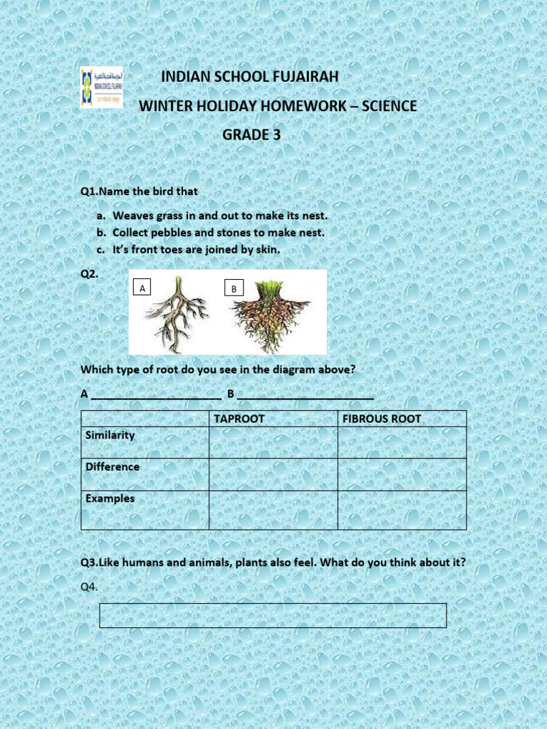 Grade 3 Science Winter Holiday Homework | PDF