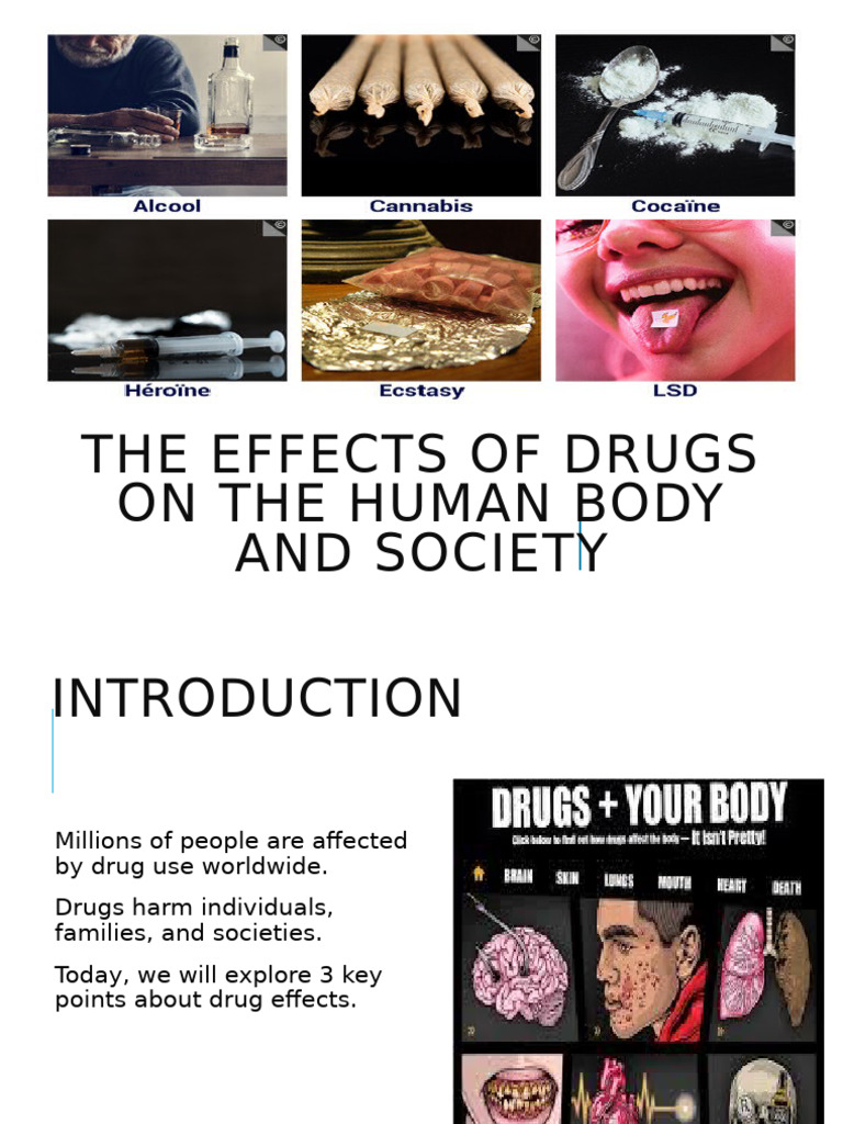 Drug Effects on Health and Society | PDF