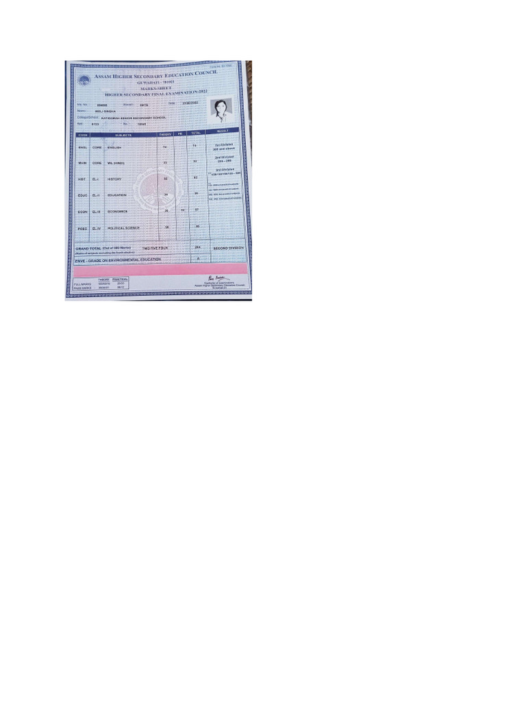 Class 12 Marksheet | PDF