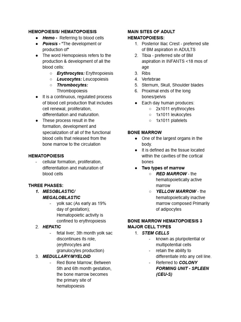 Understanding Hemopoiesis and Blood Cell Formation | PDF ...