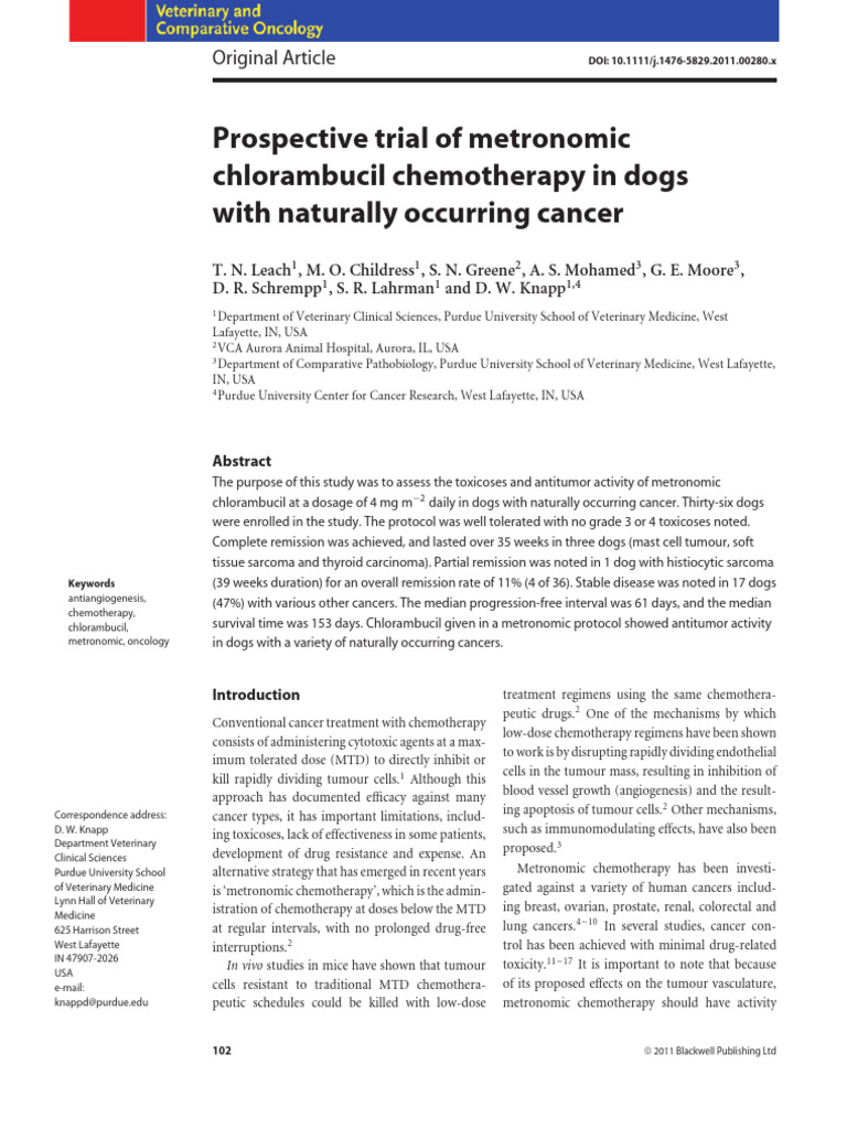 Metronomic Chlorambucil in Canine Cancer | PDF | Chemotherapy | Cancer