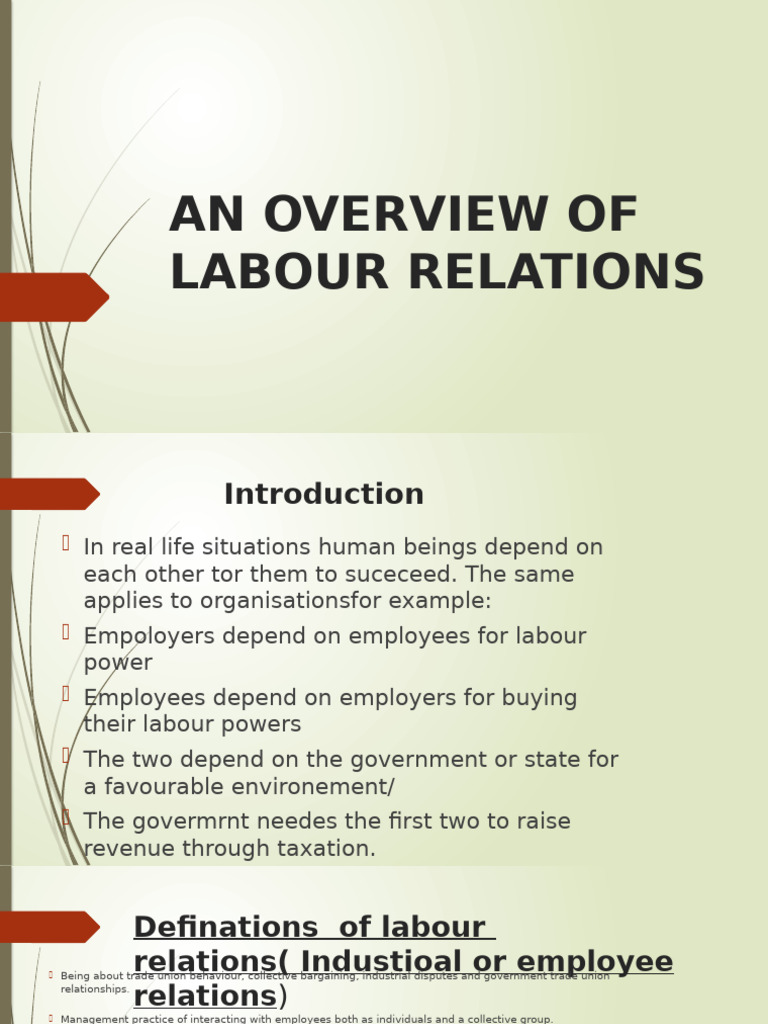 Overview of Labour Relations | PDF | Employment | Trade Union