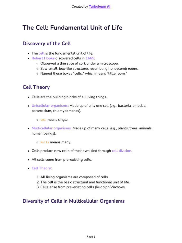 Understanding Cell Structure and Function | PDF | Endoplasmic Reticulum ...