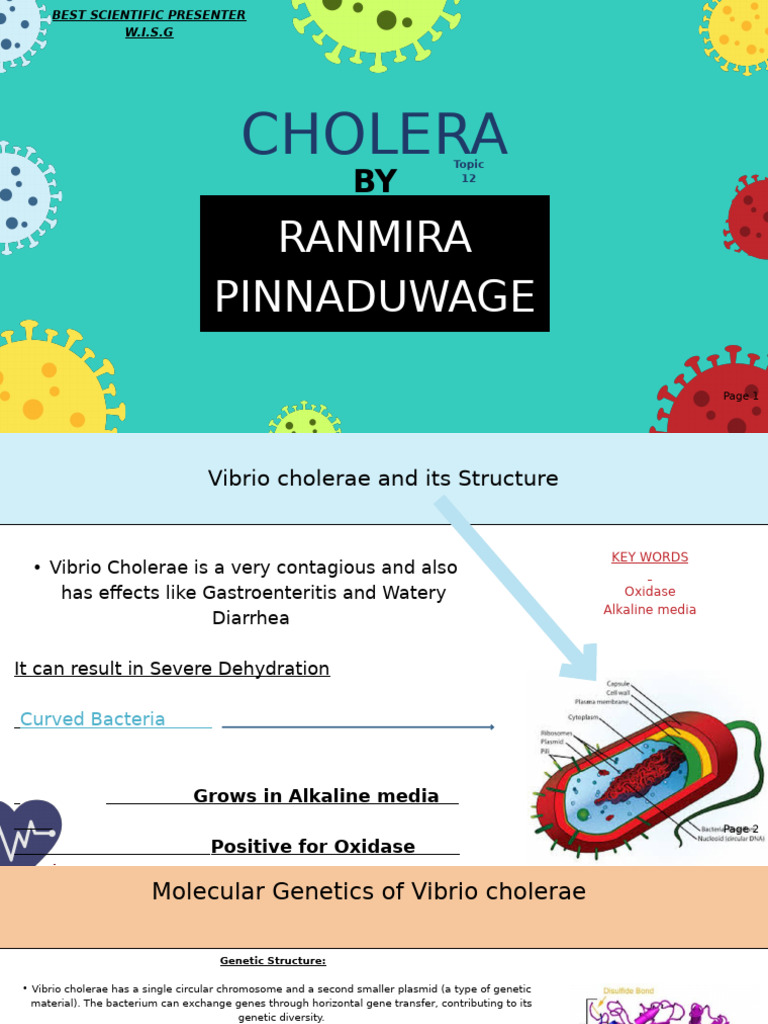 Biological Hazards Epidemics and Pandemics Science Presentation in ...
