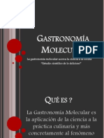 Gastronomía Molecular